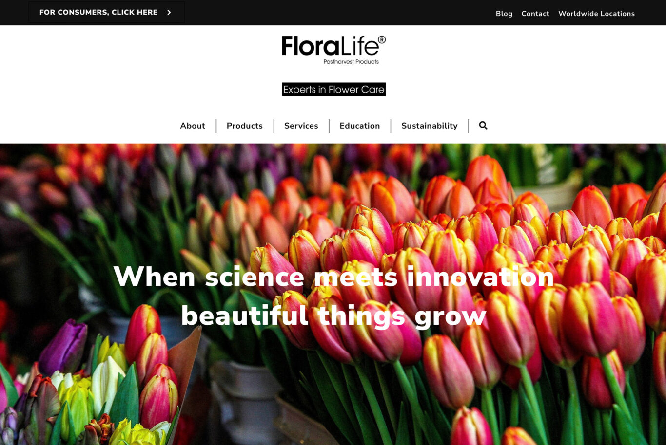 Case study crops hero image