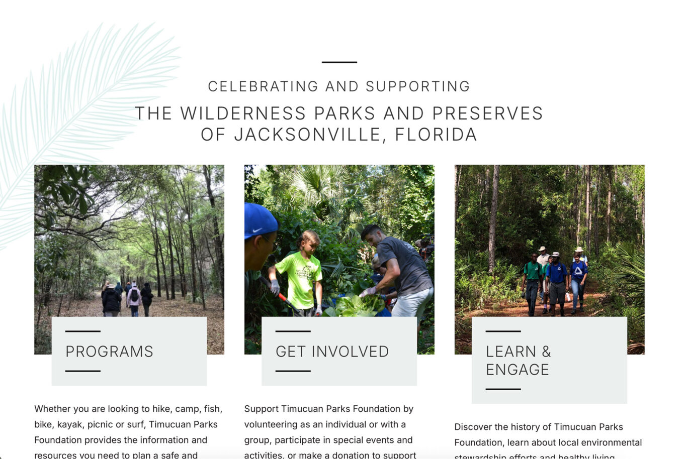 TP case study crops celebrate image