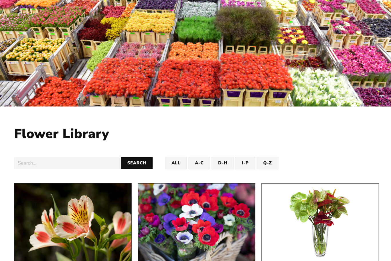 Case study crops library image