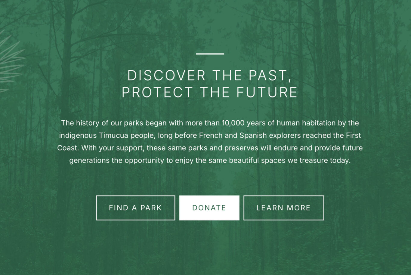 TP case study crops discover image