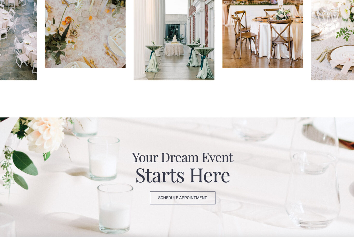 WT case study crops dream image